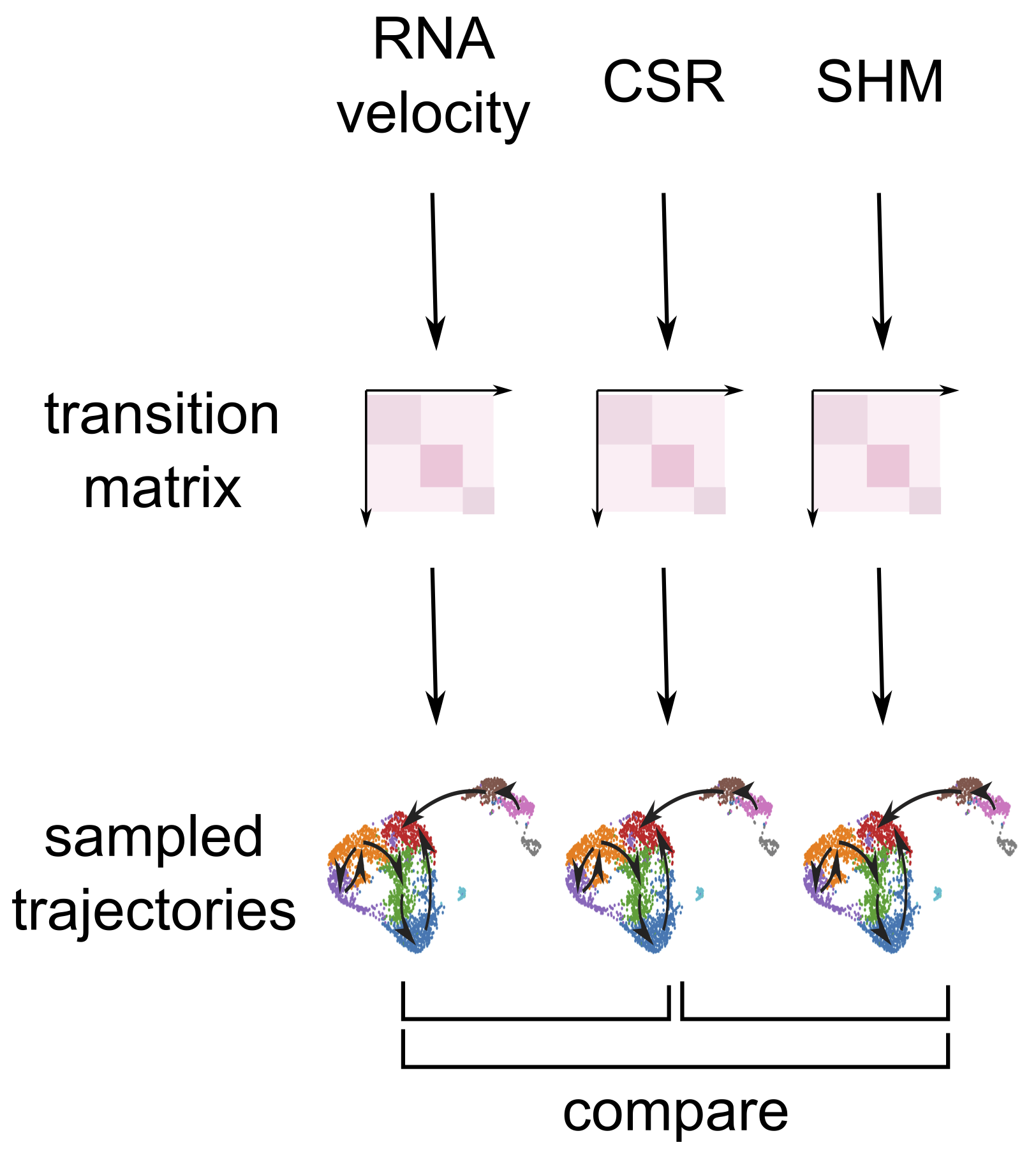Illustration of sampling MSM and comparing inferences
